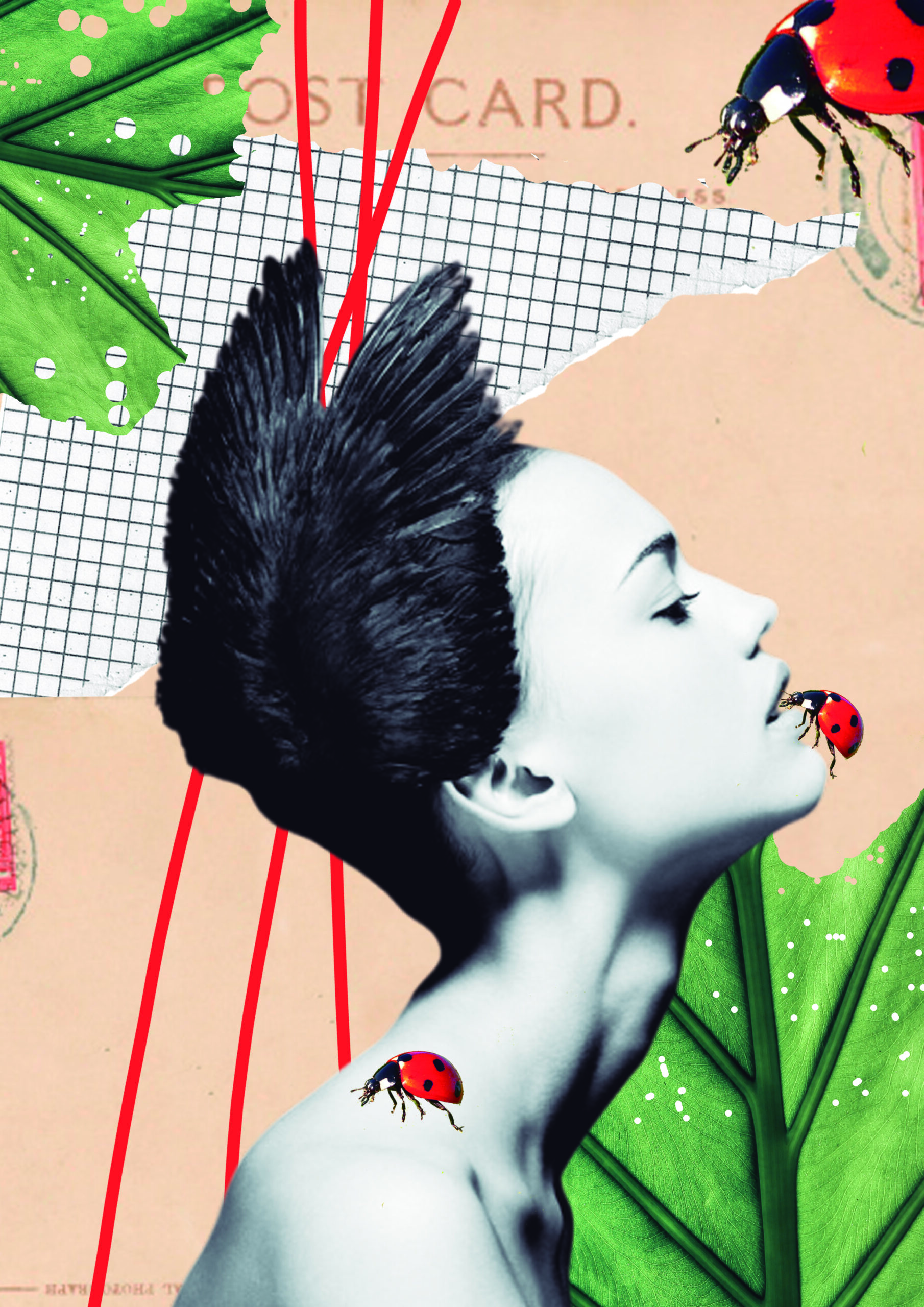 Raquel_Martin_ Ladybug - Raquel Martín